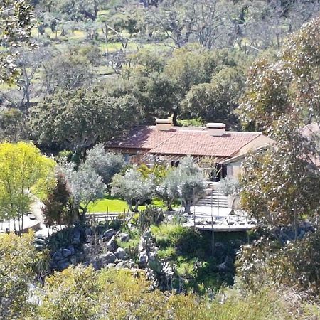 Lost Valley Casa de hóspedes Marvão Exterior foto